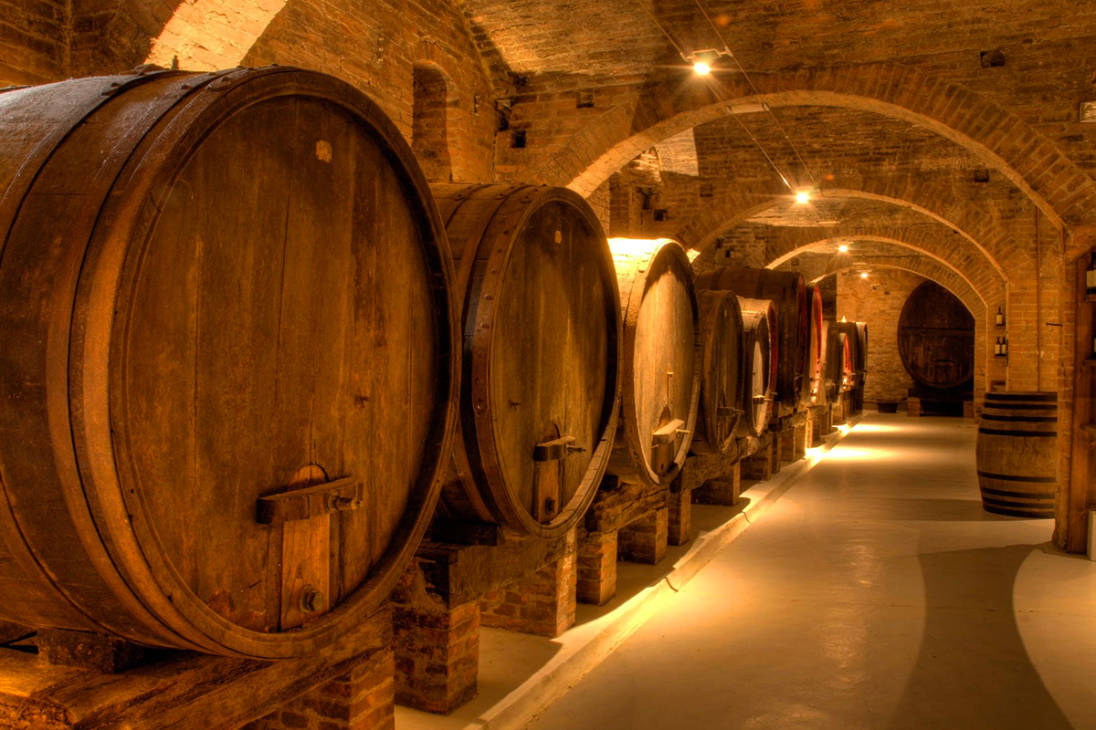 visita_cantina1